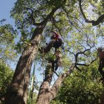 Expert climbing skills required