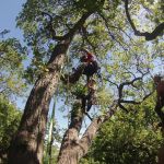 Expert climbing skills required