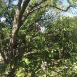 Expert climbing skills required