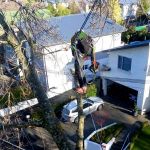 Residential services