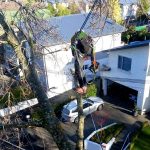Residential services